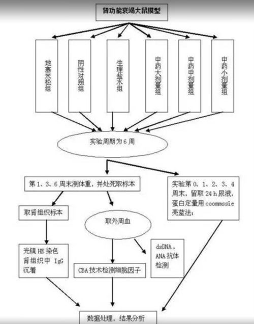 23個可編輯技術路線圖模板與繪制技巧 含國自然九大熱點領域應用指南